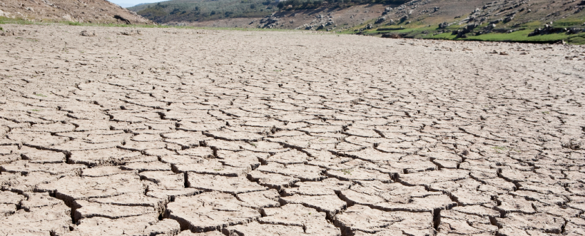 Día De Lucha Contra La Desertificación Y La Sequía