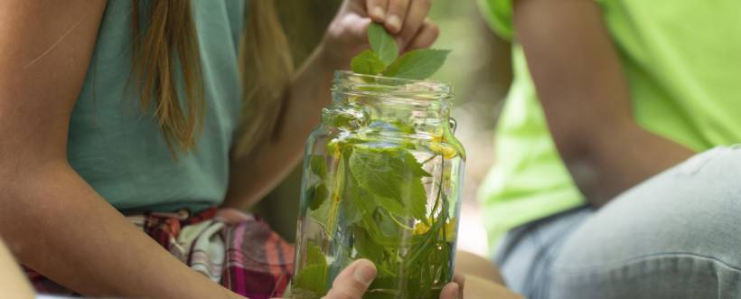 Día Mundial De La Educación Ambiental